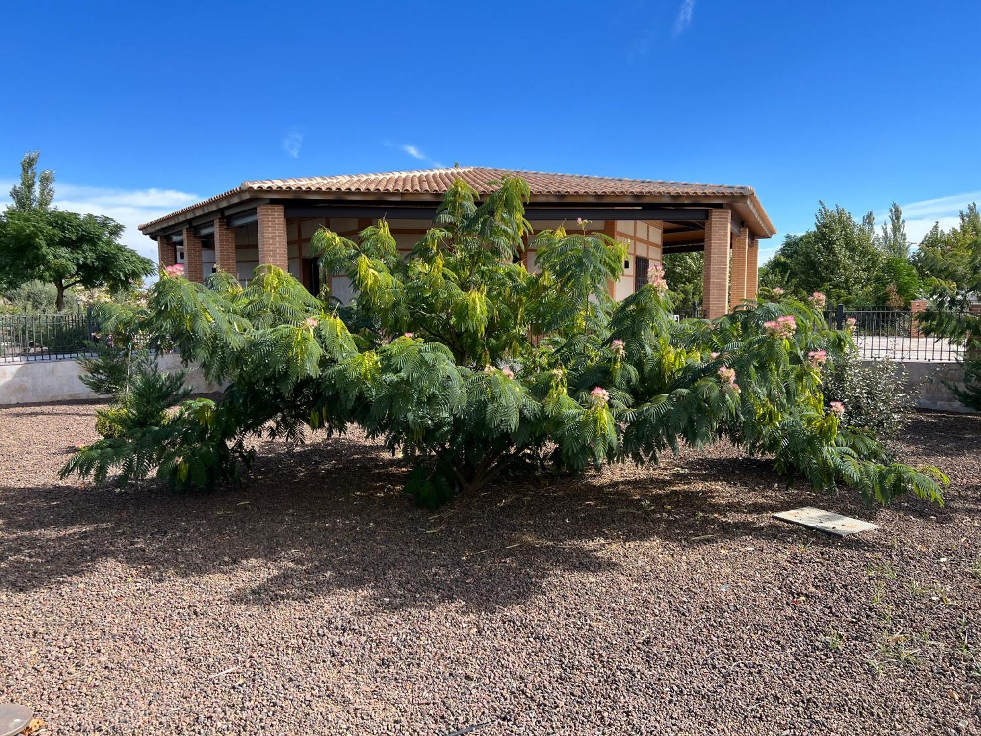 Finca Alarcos Valverde  외부 사진
